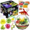 Original Stationery Dinosaur Crystal Growing Kit for Kids, Includes 17 Pieces & Easy-To-Follow Manual, Grow 3 Crystals and Make A Pre-Historic Scene with Dinosaurs, Ages 7-14
